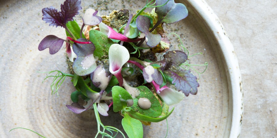 Forest Side Features In SquareMeal’s Top 100
